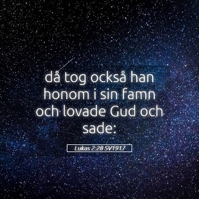 Picture 05 - Lukas 2:28 SV1917 - då tog också han honom i sin famn och lovade - Bible Verse Picture