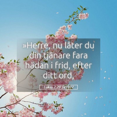 Picture 05 - Lukas 2:29 SV1917 - »Herre, nu låter du din tjänare fara hädan i - Bible Verse Picture