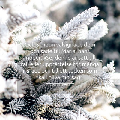 Picture 05 - Lukas 2:34 SV1917 - Och Simeon välsignade dem och sade till Maria, - Bible Verse Picture