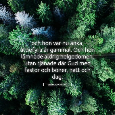 Picture 05 - Lukas 2:37 SV1917 - och hon var nu änka, åttiofyra år gammal. Och - Bible Verse Picture