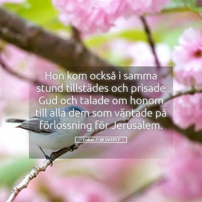 Picture 05 - Lukas 2:38 SV1917 - Hon kom också i samma stund tillstädes och - Bible Verse Picture