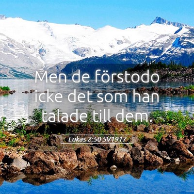 Picture 05 - Lukas 2:50 SV1917 - Men de förstodo icke det som han talade till - Bible Verse Picture