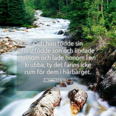 Picture 05 - Lukas 2:7 SV1917 - Och hon födde sin förstfödde son och lindade - Bible Verse Picture