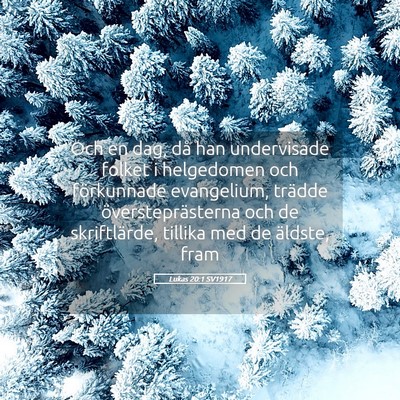 Picture 05 - Lukas 20:1 SV1917 - Och en dag, då han undervisade folket i - Bible Verse Picture