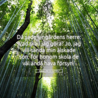 Picture 05 - Lukas 20:13 SV1917 - Då sade vingårdens herre: 'Vad skall jag göra? - Bible Verse Picture
