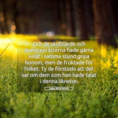 Picture 05 - Lukas 20:19 SV1917 - Och de skriftlärde och översteprästerna hade - Bible Verse Picture