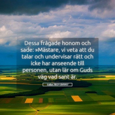 Picture 05 - Lukas 20:21 SV1917 - Dessa frågade honom och sade: »Mästare, vi - Bible Verse Picture
