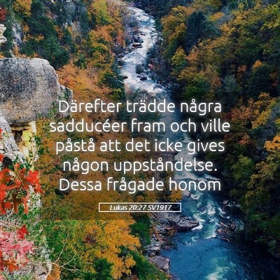 Picture 05 - Lukas 20:27 SV1917 - Därefter trädde några sadducéer fram och - Bible Verse Picture
