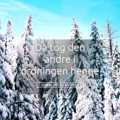 Picture 05 - Lukas 20:30 SV1917 - Då tog den andre i ordningen - Bible Verse Picture