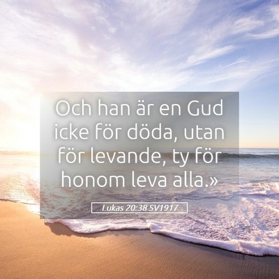 Picture 05 - Lukas 20:38 SV1917 - Och han är en Gud icke för döda, utan för - Bible Verse Picture