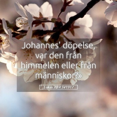 Picture 05 - Lukas 20:4 SV1917 - Johannes' döpelse, var den från himmelen eller - Bible Verse Picture