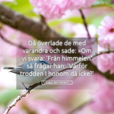 Picture 05 - Lukas 20:5 SV1917 - Då överlade de med varandra och sade: »Om vi - Bible Verse Picture