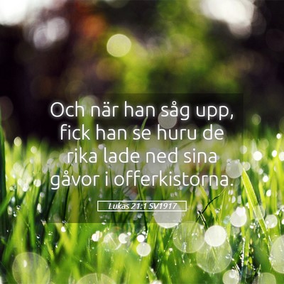 Picture 05 - Lukas 21:1 SV1917 - Och när han såg upp, fick han se huru de rika - Bible Verse Picture