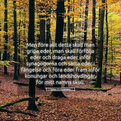 Picture 05 - Lukas 21:12 SV1917 - Men före allt detta skall man gripa eder, man - Bible Verse Picture
