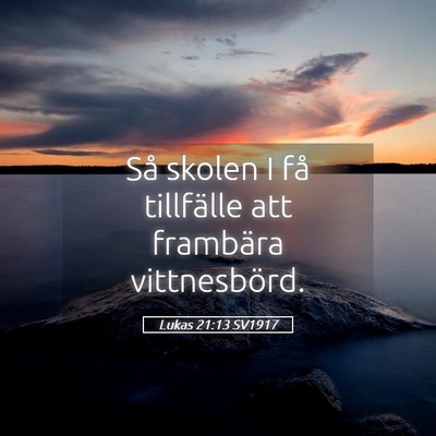 Picture 05 - Lukas 21:13 SV1917 - Så skolen I få tillfälle att frambära - Bible Verse Picture