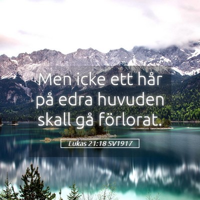Picture 05 - Lukas 21:18 SV1917 - Men icke ett hår på edra huvuden skall gå - Bible Verse Picture