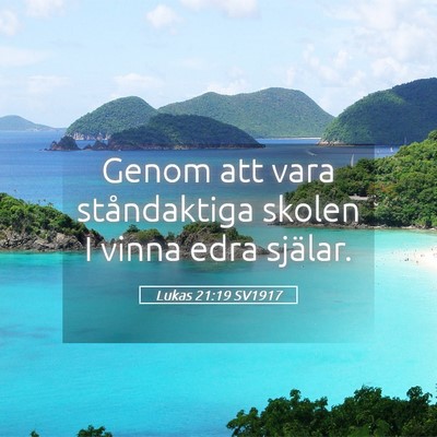 Picture 05 - Lukas 21:19 SV1917 - Genom att vara ståndaktiga skolen I vinna edra - Bible Verse Picture