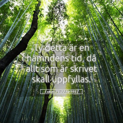 Picture 05 - Lukas 21:22 SV1917 - Ty detta är en hämndens tid, då allt som är - Bible Verse Picture