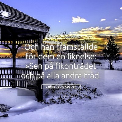 Picture 05 - Lukas 21:29 SV1917 - Och han framställde för dem en liknelse: »Sen - Bible Verse Picture