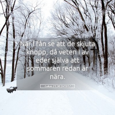 Picture 05 - Lukas 21:30 SV1917 - När I fån se att de skjuta knopp, då veten I - Bible Verse Picture