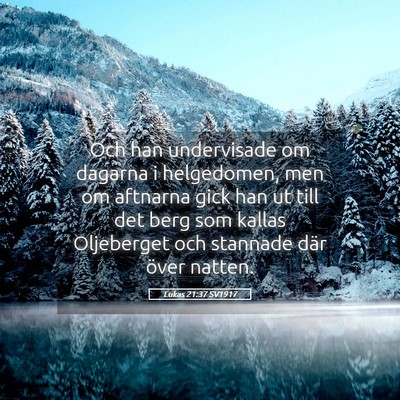 Picture 05 - Lukas 21:37 SV1917 - Och han undervisade om dagarna i helgedomen, men - Bible Verse Picture