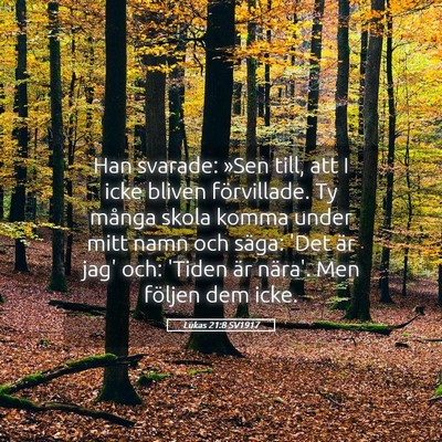Picture 05 - Lukas 21:8 SV1917 - Han svarade: »Sen till, att I icke bliven - Bible Verse Picture