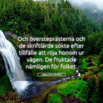 Picture 05 - Lukas 22:2 SV1917 - Och översteprästerna och de skriftlärde sökte - Bible Verse Picture