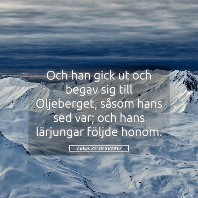 Picture 05 - Lukas 22:39 SV1917 - Och han gick ut och begav sig till Oljeberget, - Bible Verse Picture
