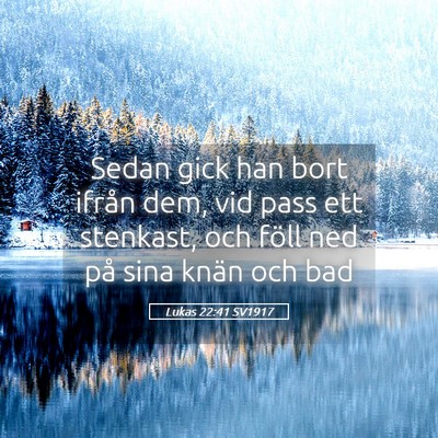 Picture 05 - Lukas 22:41 SV1917 - Sedan gick han bort ifrån dem, vid pass ett - Bible Verse Picture