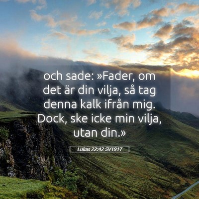 Picture 05 - Lukas 22:42 SV1917 - och sade: »Fader, om det är din vilja, så tag - Bible Verse Picture
