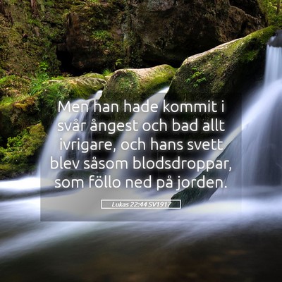 Picture 05 - Lukas 22:44 SV1917 - Men han hade kommit i svår ångest och bad allt - Bible Verse Picture