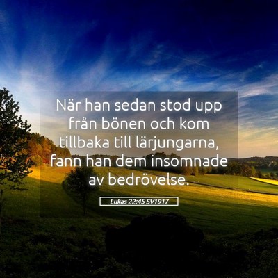 Picture 05 - Lukas 22:45 SV1917 - När han sedan stod upp från bönen och kom - Bible Verse Picture