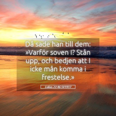 Picture 05 - Lukas 22:46 SV1917 - Då sade han till dem: »Varför soven I? Stån - Bible Verse Picture