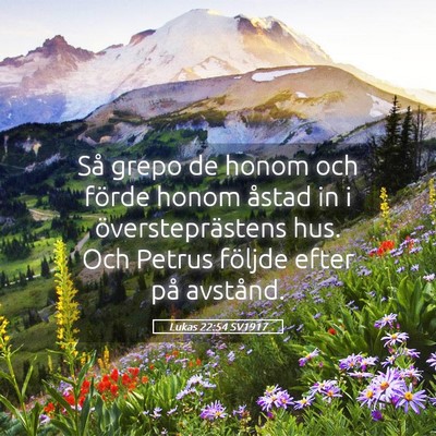 Picture 05 - Lukas 22:54 SV1917 - Så grepo de honom och förde honom åstad in i - Bible Verse Picture