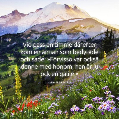 Picture 05 - Lukas 22:59 SV1917 - Vid pass en timme därefter kom en annan som - Bible Verse Picture