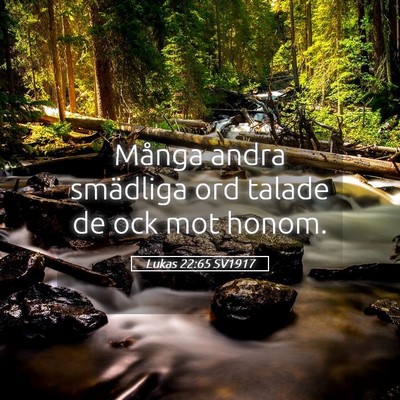 Picture 05 - Lukas 22:65 SV1917 - Många andra smädliga ord talade de ock mot - Bible Verse Picture