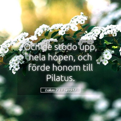 Picture 05 - Lukas 23:1 SV1917 - Och de stodo upp, hela hopen, och förde honom - Bible Verse Picture