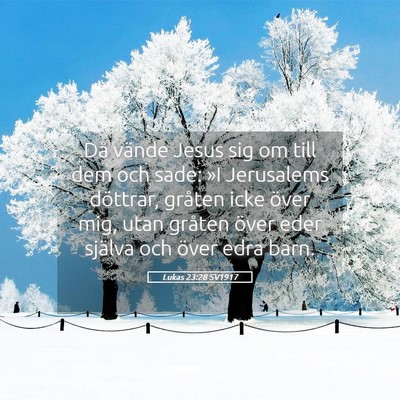 Picture 05 - Lukas 23:28 SV1917 - Då vände Jesus sig om till dem och sade: »I - Bible Verse Picture