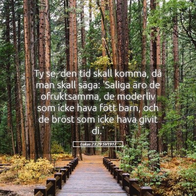 Picture 05 - Lukas 23:29 SV1917 - Ty se, den tid skall komma, då man skall säga: - Bible Verse Picture