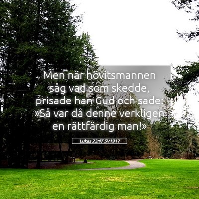 Picture 05 - Lukas 23:47 SV1917 - Men när hövitsmannen såg vad som skedde, - Bible Verse Picture