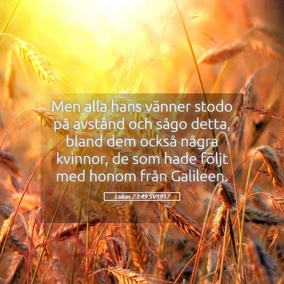Picture 05 - Lukas 23:49 SV1917 - Men alla hans vänner stodo på avstånd och - Bible Verse Picture