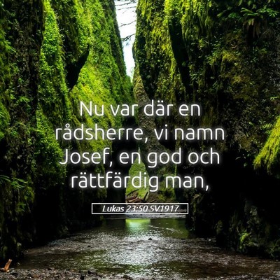Picture 05 - Lukas 23:50 SV1917 - Nu var där en rådsherre, vi namn Josef, en god - Bible Verse Picture