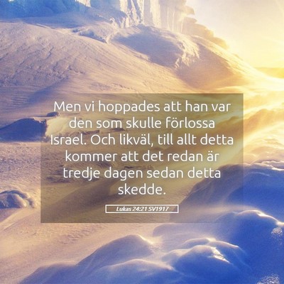 Picture 05 - Lukas 24:21 SV1917 - Men vi hoppades att han var den som skulle - Bible Verse Picture
