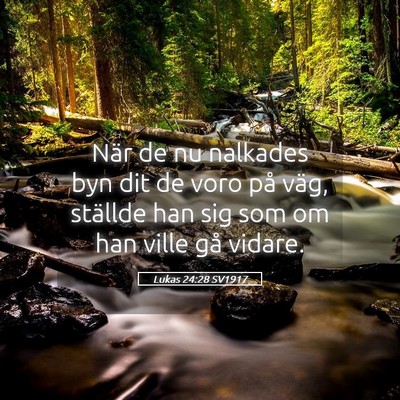 Picture 05 - Lukas 24:28 SV1917 - När de nu nalkades byn dit de voro på väg, - Bible Verse Picture