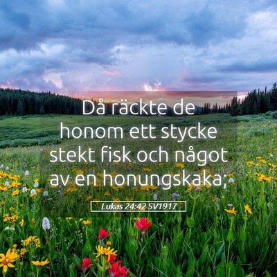 Picture 05 - Lukas 24:42 SV1917 - Då räckte de honom ett stycke stekt fisk och - Bible Verse Picture