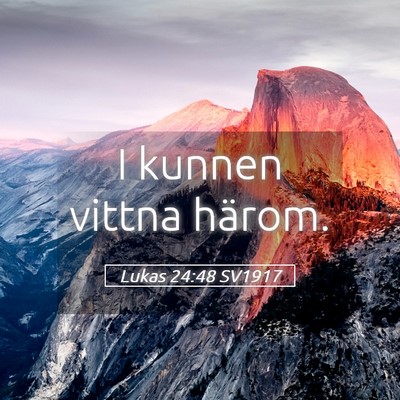 Picture 05 - Lukas 24:48 SV1917 - I kunnen vittna - Bible Verse Picture