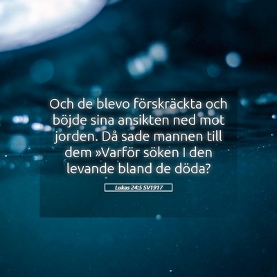 Picture 05 - Lukas 24:5 SV1917 - Och de blevo förskräckta och böjde sina - Bible Verse Picture