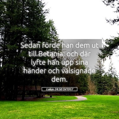Picture 05 - Lukas 24:50 SV1917 - Sedan förde han dem ut till Betania; och där - Bible Verse Picture
