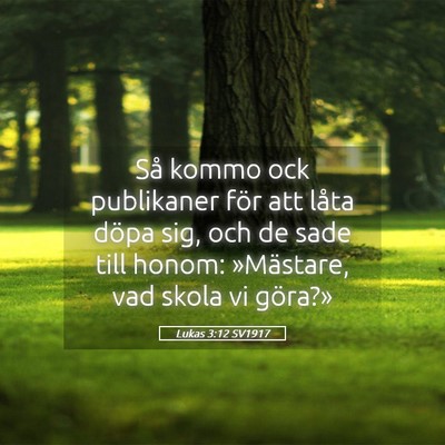 Picture 05 - Lukas 3:12 SV1917 - Så kommo ock publikaner för att låta döpa - Bible Verse Picture
