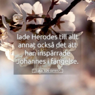 Picture 05 - Lukas 3:20 SV1917 - lade Herodes till allt annat också det att han - Bible Verse Picture
